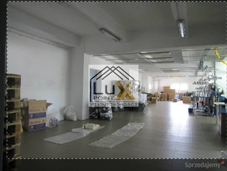Lokal użytkowy na sprzedaż Łowicz 2 000m2 Foto 5