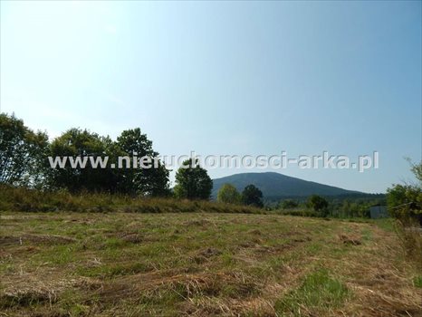 Działka budowlana na sprzedaż Dobra 1 500m2 Foto 1