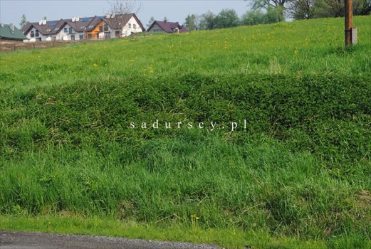 Działka inwestycyjna na sprzedaż Libertów 2 000m2 Foto 2