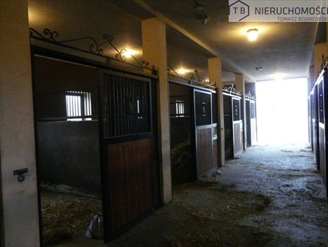 Działka inna na sprzedaż Szamotuły 15 890m2 Foto 12