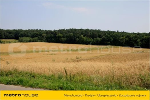 Działka inna na sprzedaż Janów, Chełm 1 250m2 Foto 3