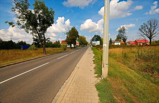Działka budowlana na sprzedaż Wrocław, Stabłowice, Starogajowa 4 000m2 Foto 5