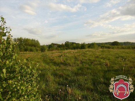 Działka budowlana na sprzedaż Koleczkowo, Bema 3 350m2 Foto 2