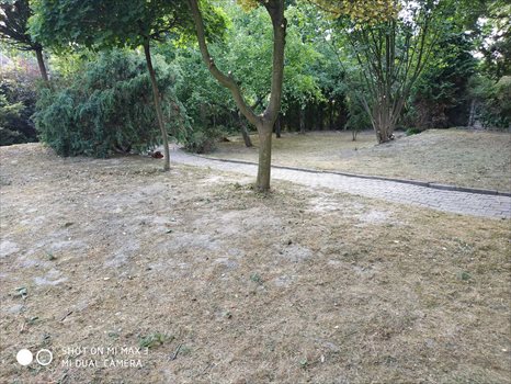 Działka budowlana na sprzedaż Gliwice, Brzezinka, ul. Nowosądecka 1 155m2 Foto 6
