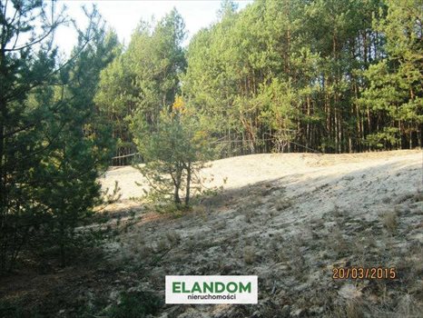 Działka rolna na sprzedaż Ponurzyca 10 000m2 Foto 3