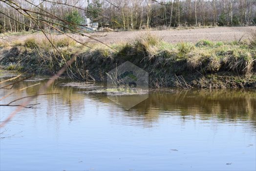 Działka budowlana na sprzedaż Stare Polaszki 6 251m2 Foto 7