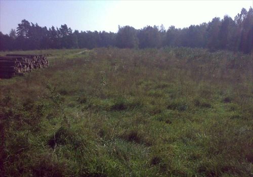 Działka siedliskowa na sprzedaż Rybical 40 936m2 Foto 6
