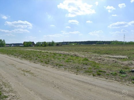 Działka rolna na sprzedaż Rosanów 3 106m2 Foto 2