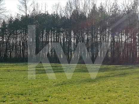 Działka budowlana na sprzedaż Brzeźce 3 700m2 Foto 9