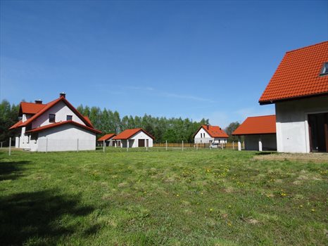 Działka inwestycyjna na sprzedaż Wrzesina 94 000m2 Foto 5