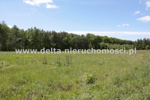 Działka budowlana na sprzedaż Sycewice 17 500m2 Foto 4