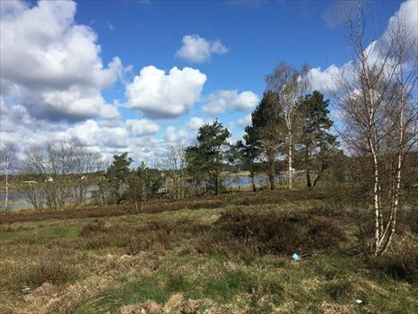 Działka budowlana na sprzedaż Bojano, Bojana 1 300m2 Foto 9