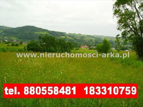Działka budowlana na sprzedaż Dobra 1 900m2 Foto 1