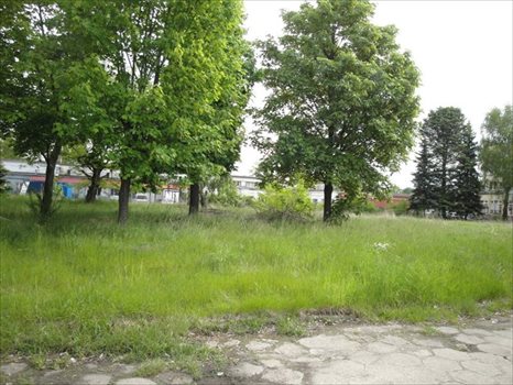 Działka przemysłowo-handlowa pod dzierżawę Wiry, Wiry 2 500m2 Foto 1