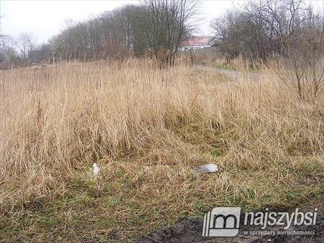 Działka przemysłowo-handlowa pod dzierżawę Nowogard, Centrum 23 000m2 Foto 2