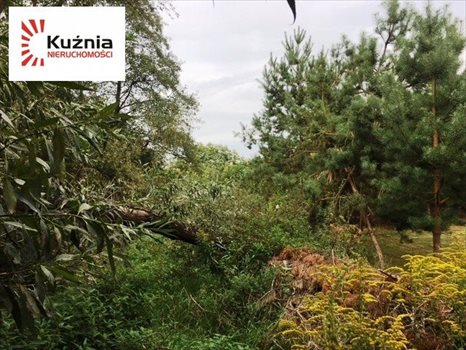 Działka budowlana na sprzedaż Siestrzeń, Łąkowa 2 064m2 Foto 2
