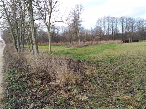 Działka inna na sprzedaż Rajgród 3 000m2 Foto 4