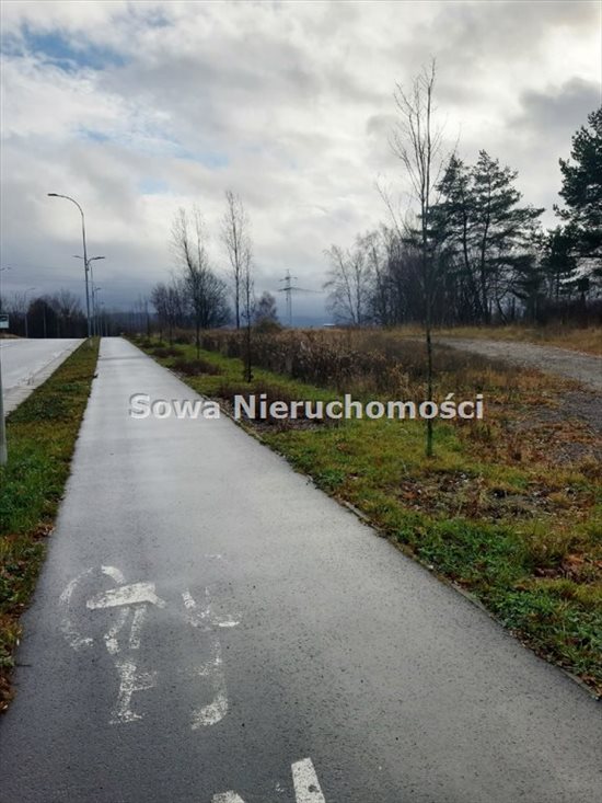 Działka inna na sprzedaż Wałbrzych, Biały Kamień 1 300m2 Foto 5