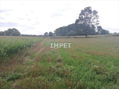 Działka rolna na sprzedaż Dłużyna Dolna 17 069m2 Foto 3