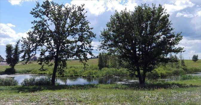 Dom na sprzedaż Gajewo, Kasztanowa 230m2 Foto 3