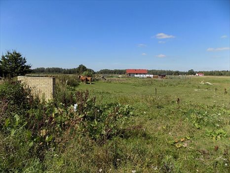 Działka inna na sprzedaż Trzepowo, Trzepowo, Trzepowo 1 644m2 Foto 7