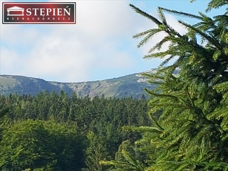 Działka budowlana na sprzedaż Jelenia Góra, Jagniątków 2 783m2 Foto 6