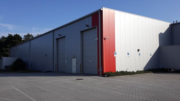 Lokal użytkowy na wynajem Leżajsk 1 800m2 Foto 5