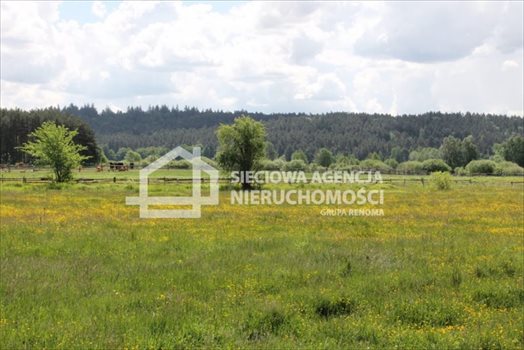 Działka budowlana na sprzedaż Lubowidz 1 066m2 Foto 3