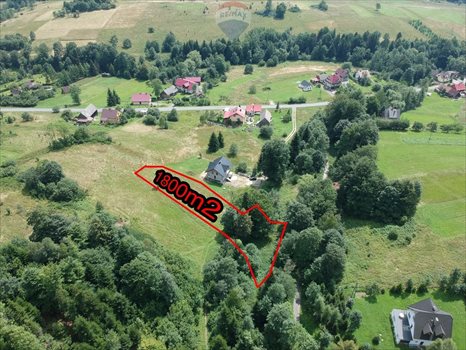 Działka budowlana na sprzedaż Pewel Wielka 1 800m2 Foto 3