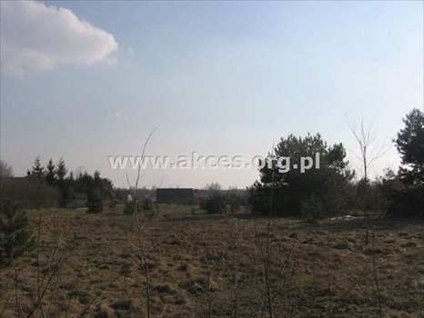 Działka budowlana na sprzedaż Nowe Racibory 1 117m2 Foto 2