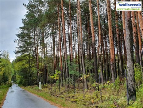 Działka budowlana na sprzedaż Ostrów 1 306m2 Foto 4