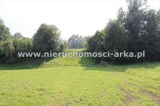 Działka budowlana na sprzedaż Gruszowiec 3 400m2 Foto 9