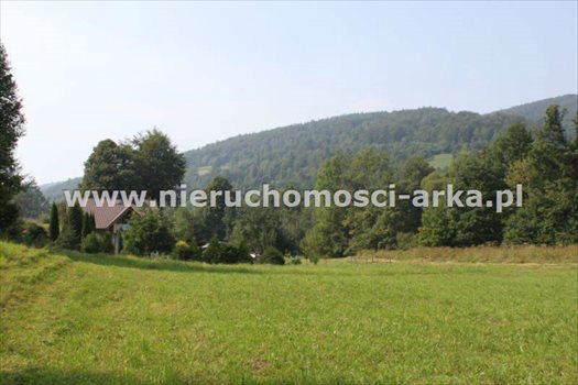 Działka budowlana na sprzedaż Gruszowiec 3 400m2 Foto 10