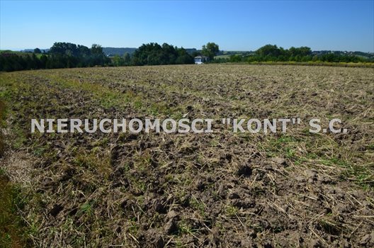 Działka budowlana na sprzedaż Michałowice, Dąbrowskich 1 200m2 Foto 4