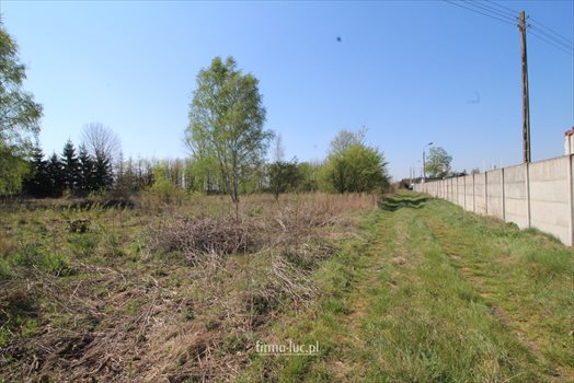 Działka budowlana na sprzedaż Gorzów Wielkopolski, Karnin 1 062m2 Foto 6