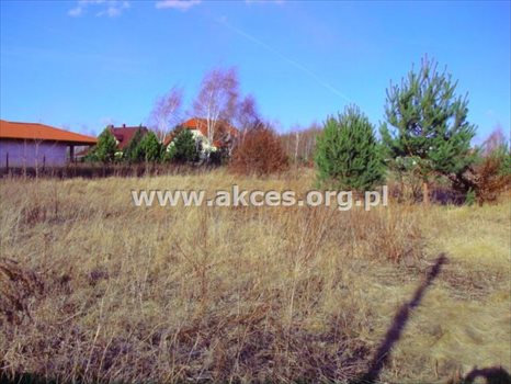 Działka budowlana na sprzedaż Łoś 1 390m2 Foto 11