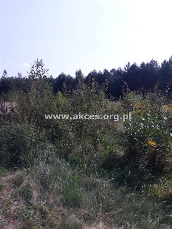 Działka budowlana na sprzedaż Marylka, Majowa 2 540m2 Foto 6