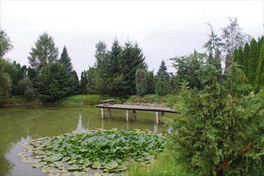 Działka budowlana na sprzedaż Wola Pniewska 6 200m2 Foto 8