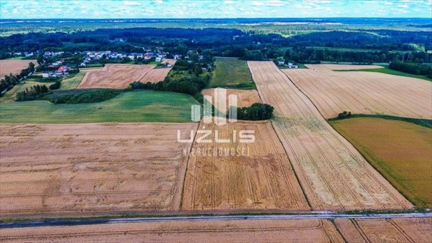 Działka inna na sprzedaż Szpęgawsk, Jezioro, Kościół, Las, Przystanek autobusowy, Szko, brak 38 300m2 Foto 4