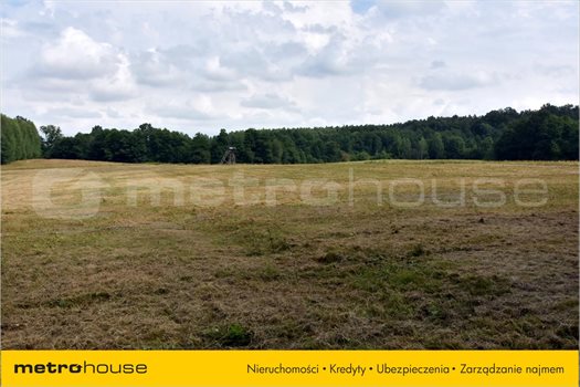 Działka rolna na sprzedaż Smolajny, Dobre Miasto 3 548m2 Foto 6