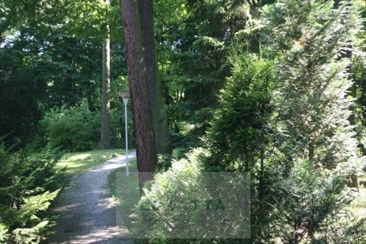 Dom na sprzedaż Zalesie Dolne 450m2 Foto 9