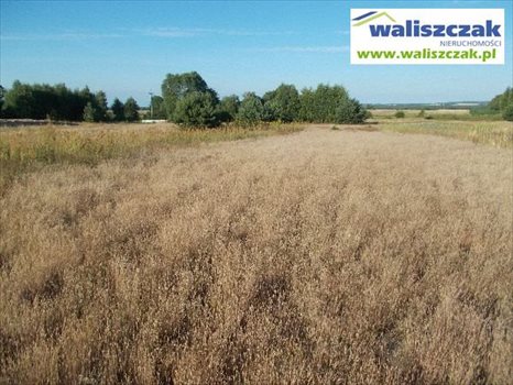 Działka budowlana na sprzedaż Wielkopole 13 900m2 Foto 1