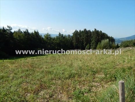 Działka budowlana na sprzedaż Mszana Dolna 1 300m2 Foto 1