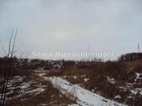 Działka budowlana na sprzedaż Wałbrzych, Piaskowa Góra 7 968m2 Foto 8