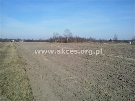 Działka budowlana na sprzedaż Przypki 25 277m2 Foto 4