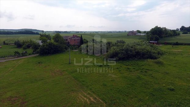 Działka inna na sprzedaż Gołębiewko 3 011m2 Foto 9