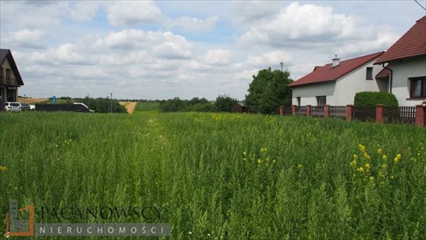 Działka budowlana na sprzedaż Owczary 11 856m2 Foto 5