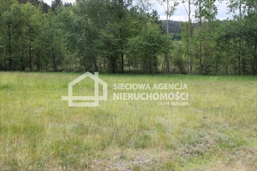 Działka budowlana na sprzedaż Lubowidz 1 621m2 Foto 5