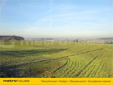 Działka inna na sprzedaż Golęczewo, Suchy Las 1 196m2 Foto 5