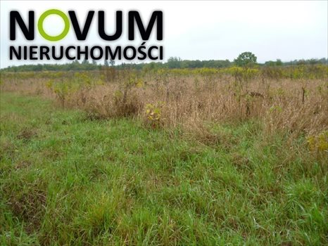 Działka budowlana na sprzedaż Tarnowskie Góry 1 053m2 Foto 1